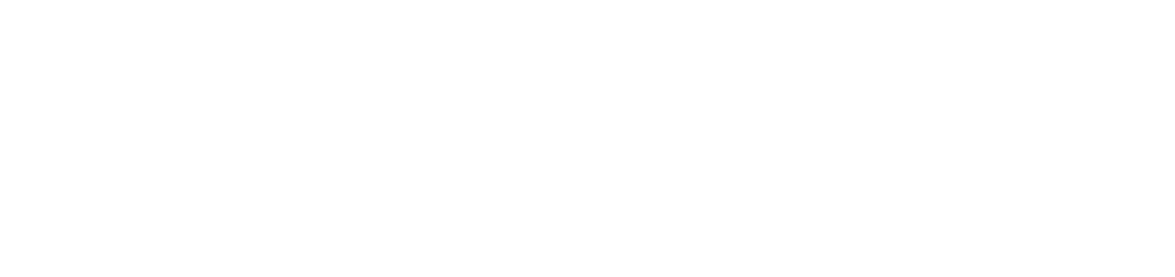 Nexlead Logo
